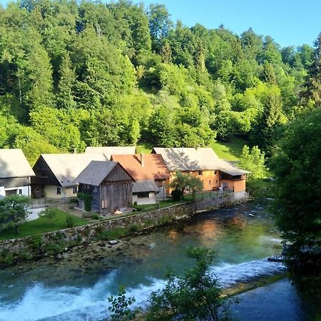 Villa House By The River Zgornje Gorje Exterior foto